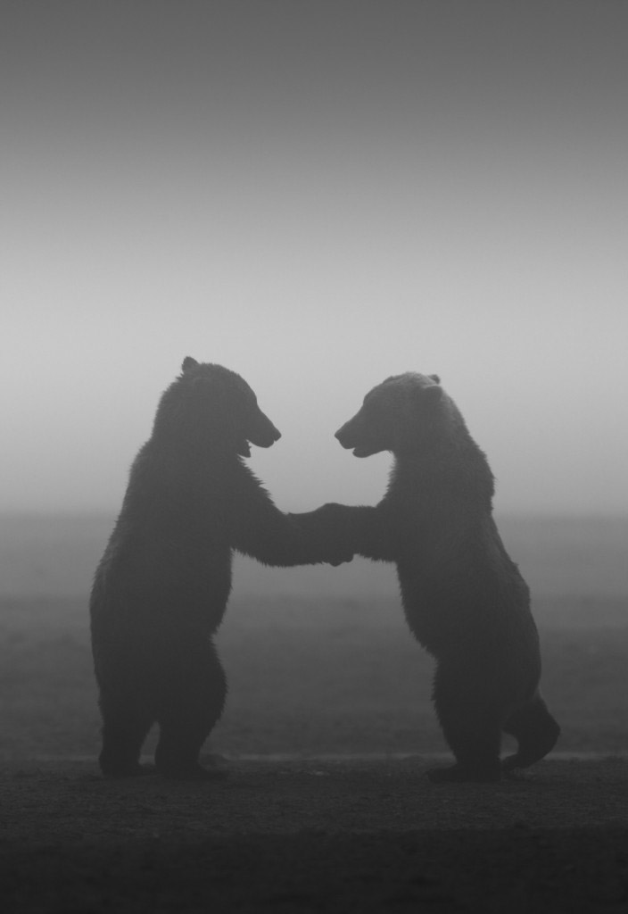 Contact Kirstin Scott